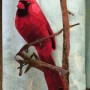 Cardinal with potential background7